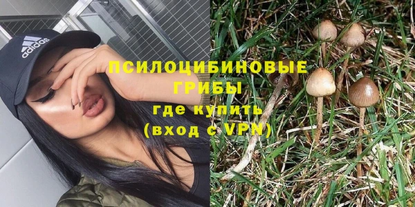 ешки Рославль