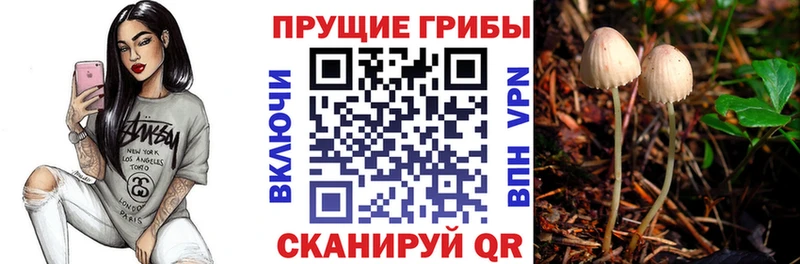 Купить  Иланский  Галлюциногенные грибы мицелий 